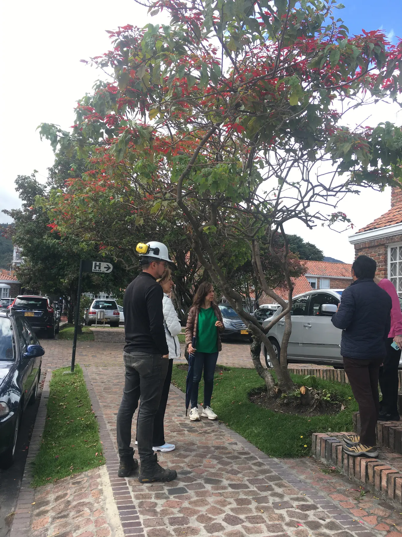 Profesional de Grupo Bioingenia realizando una evaluación técnica en campo