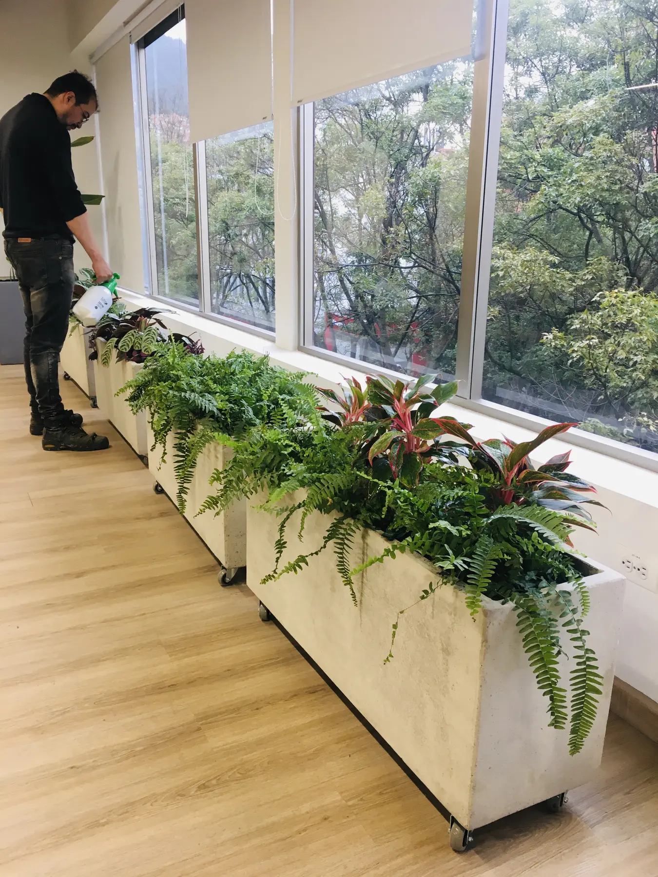 Jardinero de Grupo Bioingenia realizando mantenimiento de zonas verdes
